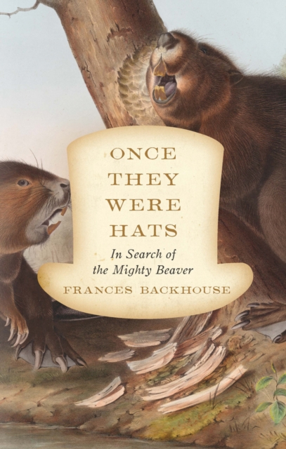 Once They Were Hats : In Search of the Mighty Beaver, EPUB eBook