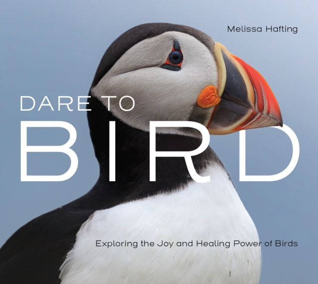 Dare to Bird : Exploring the Joy and Healing Power of Birds, Hardback Book