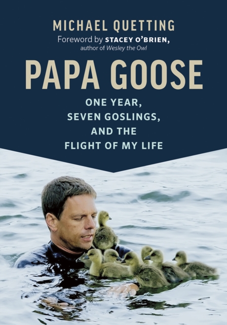 Papa Goose : One Year, Seven Goslings, and the Flight of My Life, Hardback Book