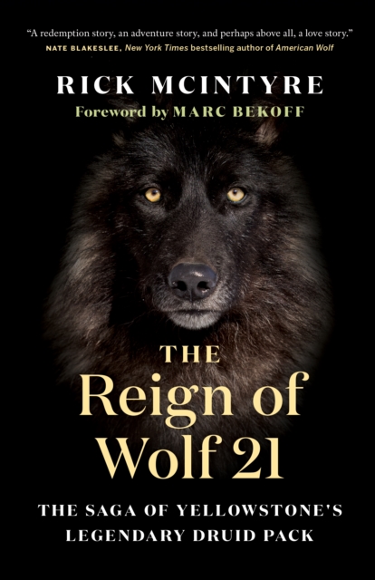 The Reign of Wolf 21 : The Saga of Yellowstone's Legendary Druid Pack, EPUB eBook
