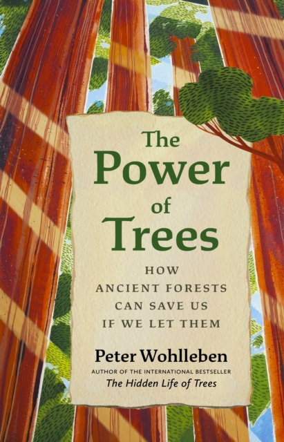 The Power of Trees : How Ancient Forests Can Save Us if We Let Them, Hardback Book