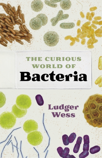 The Curious World of Bacteria, EPUB eBook