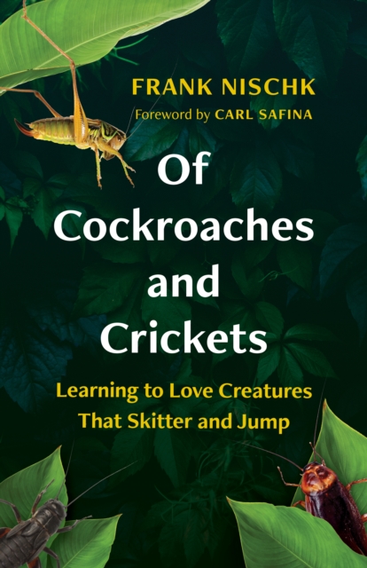 Of Cockroaches and Crickets : Learning to Love Creatures That Skitter and Jump, Hardback Book