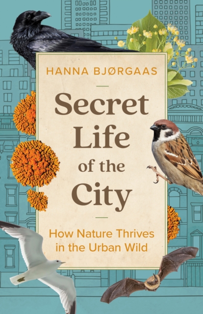 Secret Life of the City : How Nature Thrives in the Urban Wild, Hardback Book