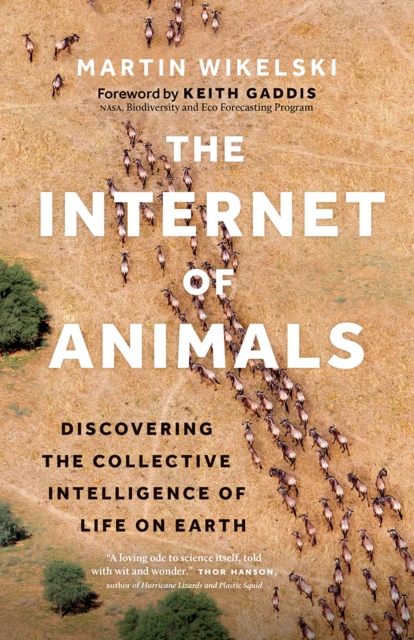 The Internet of Animals : Discovering the Collective Intelligence of Life on Earth, Hardback Book