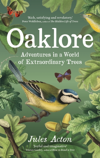 Oaklore : Adventures in a World of Extraordinary Trees, Hardback Book