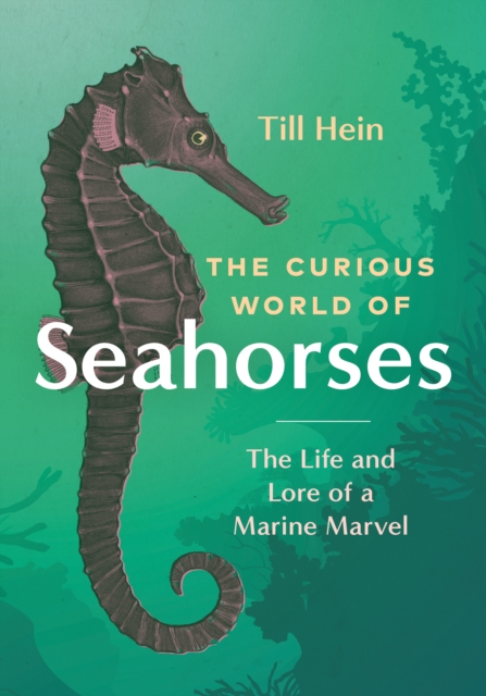 The Curious World of Seahorses : The Life and Lore of a Marine Marvel, Hardback Book
