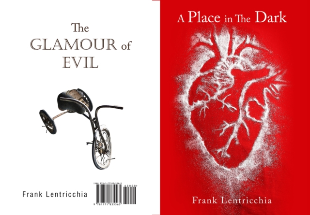 A Place in the Dark/ The Glamour of Evil, EPUB eBook