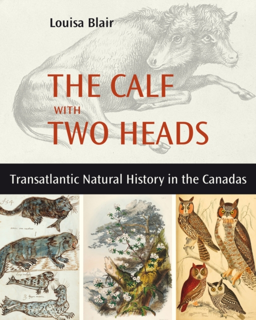 The Calf with Two Heads : Transatlantic Natural History in the Canadas, Paperback / softback Book