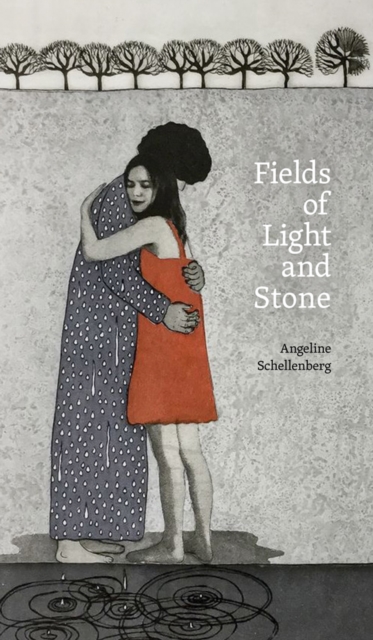 Fields of Light and Stone, Paperback / softback Book