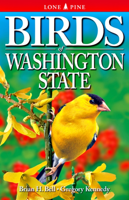Birds of Washington State, Paperback / softback Book