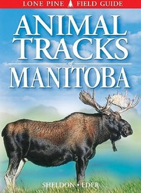 Animal Tracks of Manitoba, Paperback / softback Book