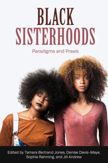 Black Sisterhoods: Paradigms and Praxis, Paperback / softback Book