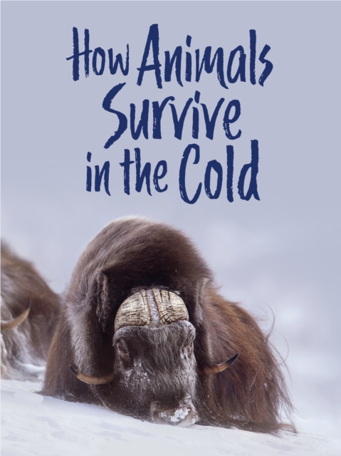 How Animals Survive in the Cold : English Edition, Paperback / softback Book