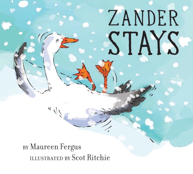 Zander Stays, Hardback Book