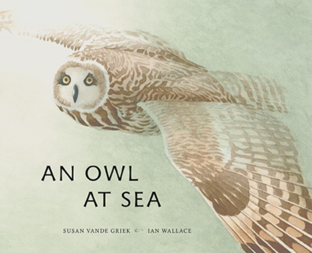 An Owl at Sea, Hardback Book
