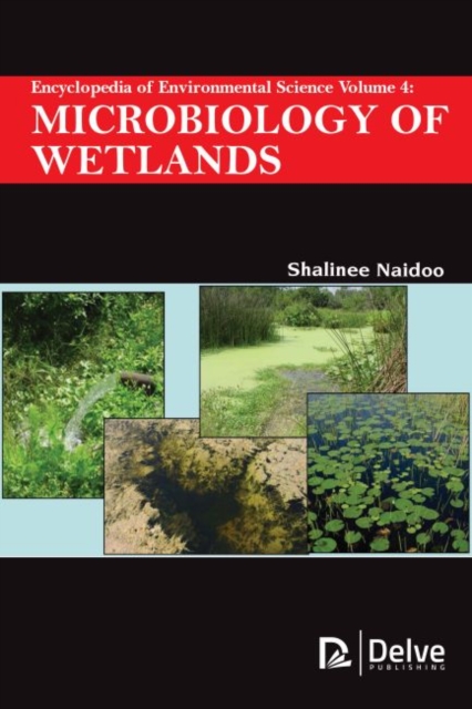 Encyclopedia of Environmental Science, Volume 4 : Microbiology of Wetlands, Hardback Book