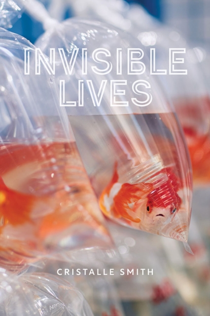 Invisible Lives, Hardback Book