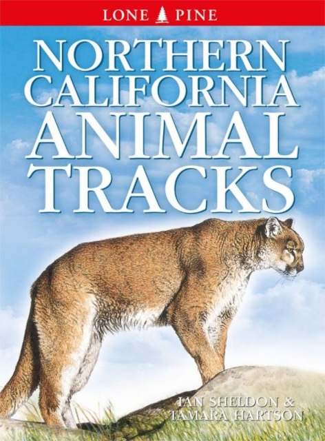 Northern California Animal Tracks, Paperback / softback Book