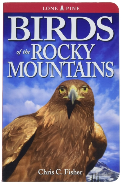 Birds of the Rocky Mountains, Paperback / softback Book