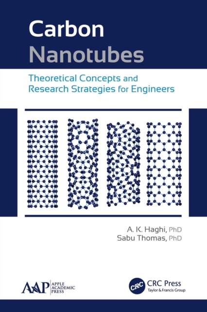 Carbon Nanotubes : Theoretical Concepts and Research Strategies for Engineers, Paperback / softback Book