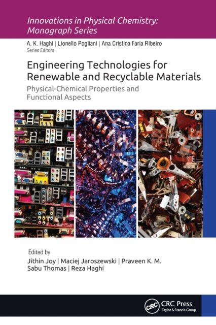 Engineering Technologies for Renewable and Recyclable Materials : Physical-Chemical Properties and Functional Aspects, Paperback / softback Book