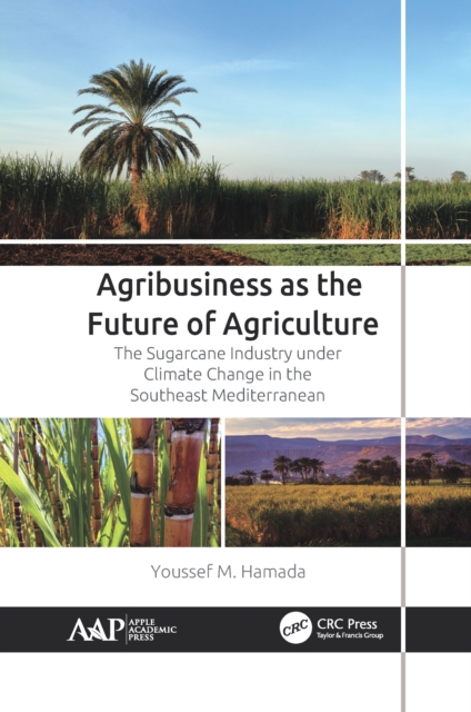Agribusiness as the Future of Agriculture : The Sugarcane Industry under Climate Change in the Southeast Mediterranean, Paperback / softback Book