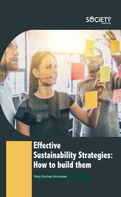 Effective Sustainability Strategies : How to Build Them, Hardback Book
