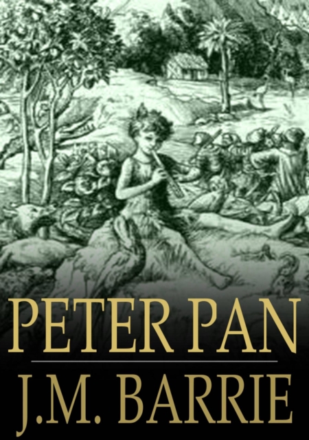 Peter Pan : Peter and Wendy, EPUB eBook