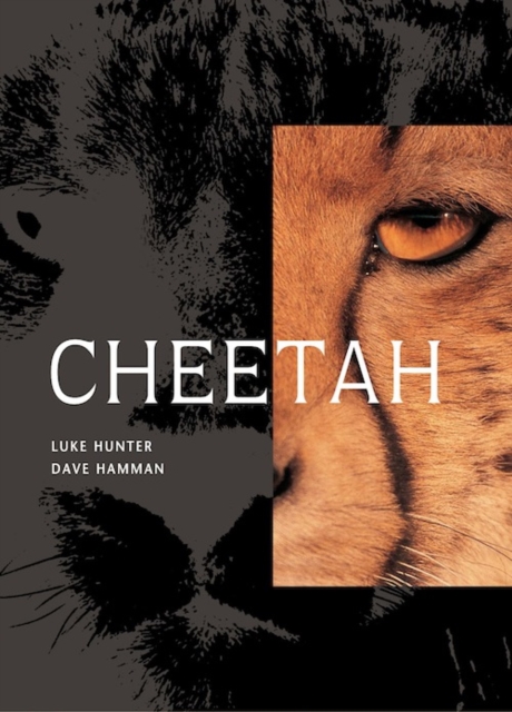 Cheetah, PDF eBook