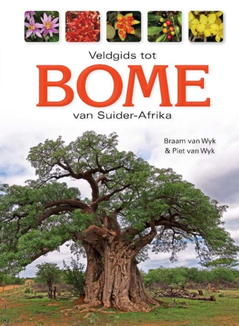 Veldgids tot Bome van Suider-Afrika, PDF eBook
