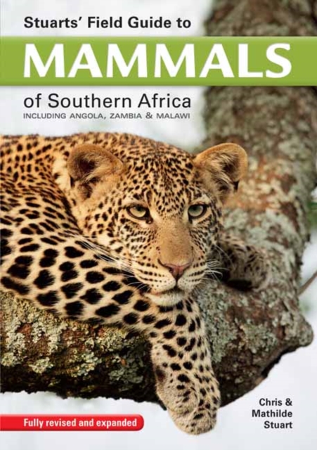 Stuarts' Field Guide to Mammals of Southern Africa : Including Angola, Zambia & Malawi, Paperback / softback Book