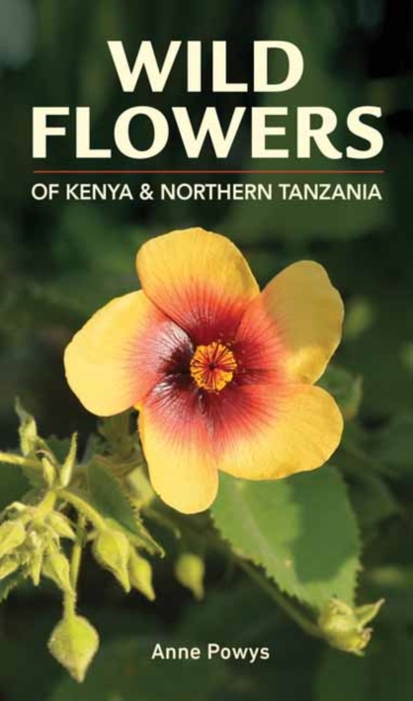Struik Nature Guide: Wild Flowers of Kenya and Northern Tanzania, Paperback / softback Book