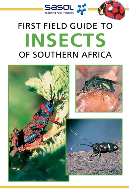 Sasol First Field Guide to Insects of Southern Africa, EPUB eBook