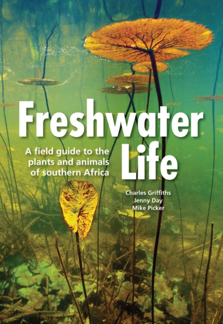 Freshwater Life : A field guide to the plants and animals of southern Africa, PDF eBook