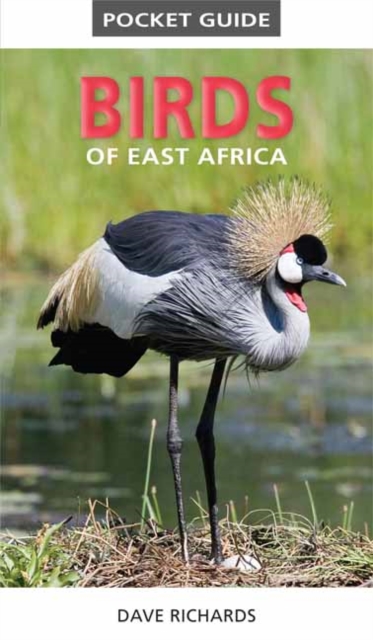 Pocket Guide to Birds of East Africa, Paperback / softback Book