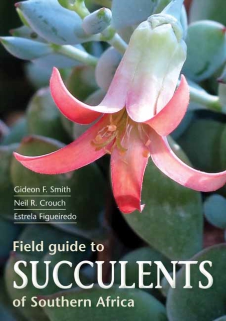 Field Guide to Succulents of Southern Africa, Paperback / softback Book