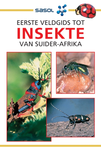 Sasol Eerste Veldgids tot Insekte van Suider-Afrika, EPUB eBook