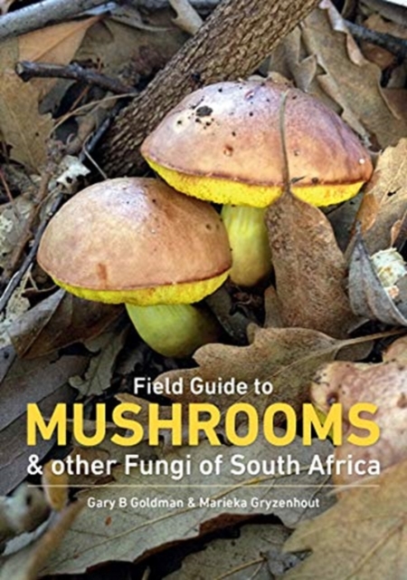 Mushrooms and Other Fungi in South Africa, Paperback / softback Book