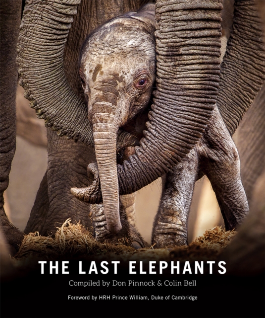 The Last Elephants, EPUB eBook