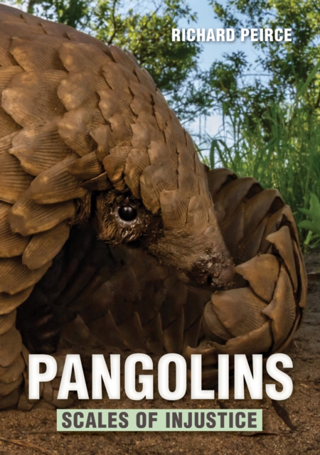 Pangolins - Scales of Injustice, EPUB eBook