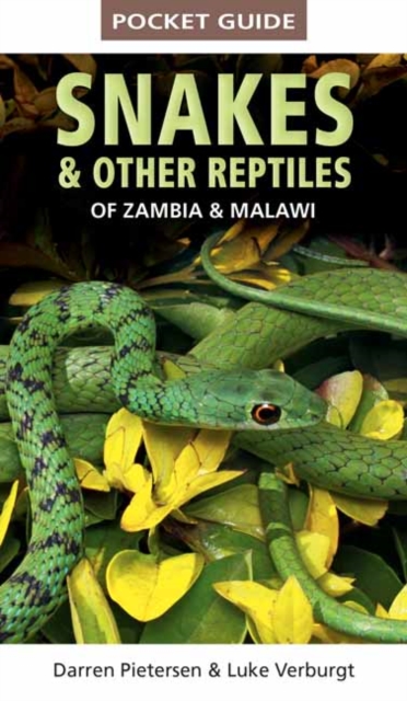 Pocket Guide to Snakes & Other Reptiles of Zambia and Malawi, Paperback / softback Book