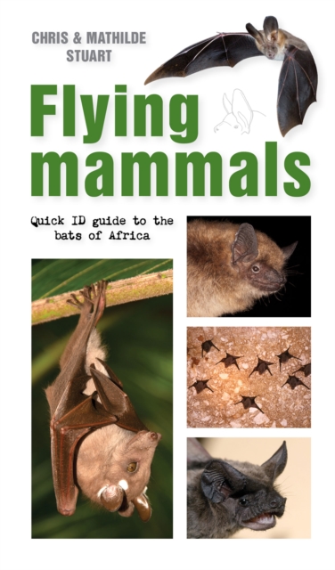 Flying Mammals : Quick ID guide to the bats of Africa, EPUB eBook