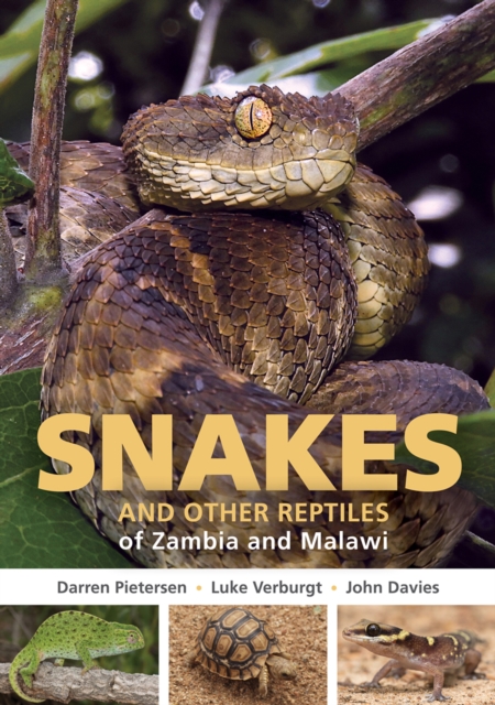 Snakes and other Reptiles of Zambia and Malawi, EPUB eBook