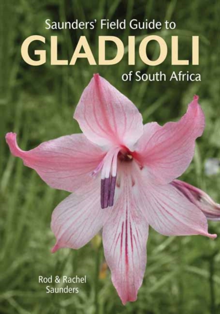 Saunders' Field Guide to Gladioli of South Africa, Paperback / softback Book