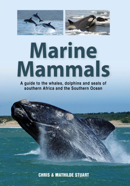 Marine Mammals : A guide to the whales, dolphins and seals of southern Africa and the Southern Ocean, EPUB eBook