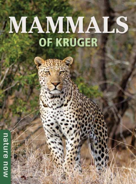 Mammals of Kruger, Paperback / softback Book