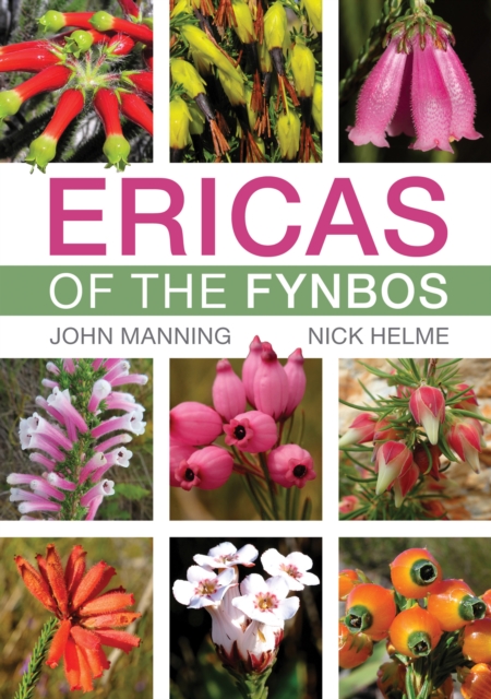 Ericas of the Fynbos, EPUB eBook