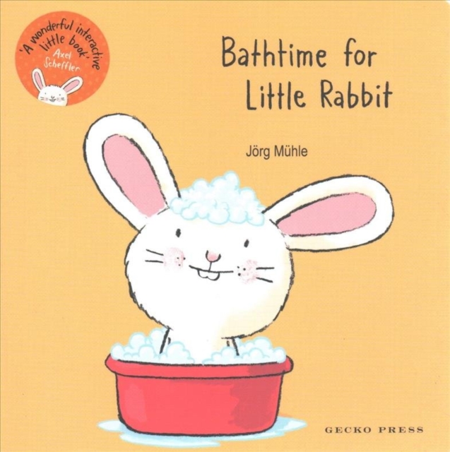 Bathtime for Little Rabbit, Board book Book