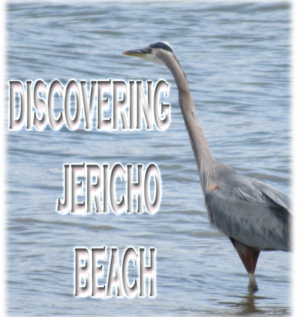 Discovering Jericho Beach, EPUB eBook